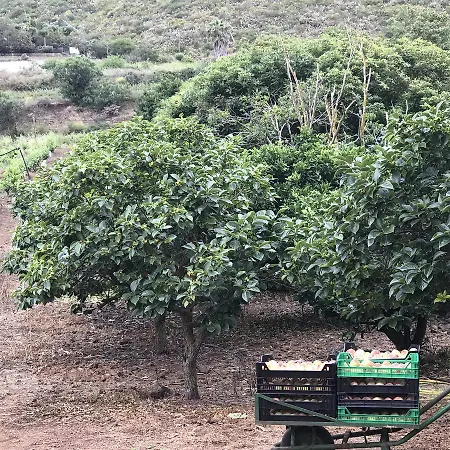 Εξοχικό σπίτι El Vergel Rural Tegueste
