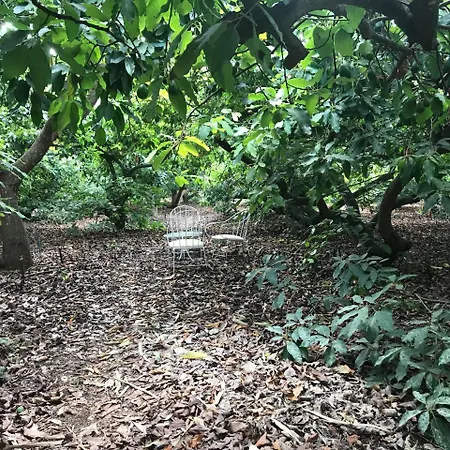 El Vergel Rural * Tegueste