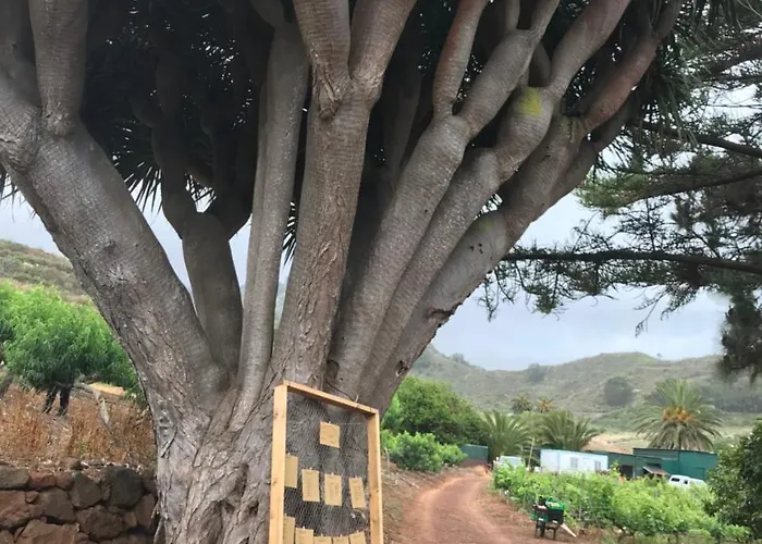 Casa rural El Vergel Rural *