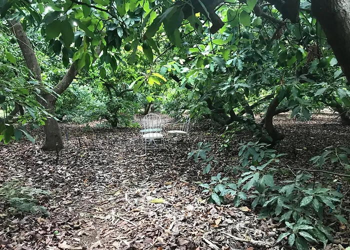 El Vergel Rural * Tegueste