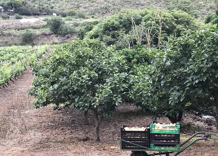 Country house El Vergel Rural Tegueste