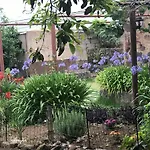 El Vergel Rural * Tegueste